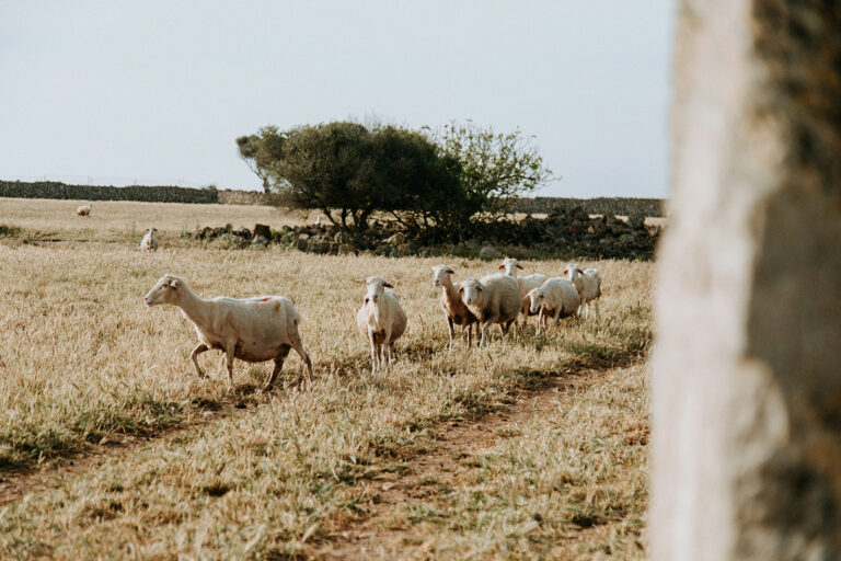 Camina Menorca